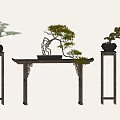 Traditional Chinese Bonsai Pine Trees on Carved Wooden Table and Pedestals with Black Pots