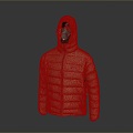 cotton-padded jacket down jacket goose down jacket thick clothes thick cotton-padded clothes autumn and winter clothing winter clothing autumn clothing 3d model