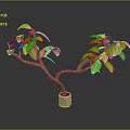 Green Leafy Plant With Brown Branches In Gray Pot For Indoor Decor