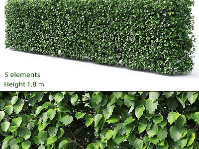 Green Leafy Ornamental Decor Set With 5 Elements 1.8m Height 3d model