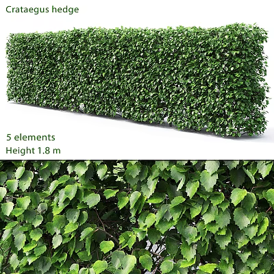 Green Leafy Ornamental Decor Set With 5 Elements 1.8m Height 3d model
