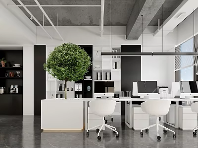 Modern Public Office Space With White Desks Office Chairs Green Plant And Open Layout 3d model