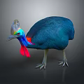 Vibrant Cassowary With Blue Feathers Red Wattles And Distinctive Casque On Gray Background