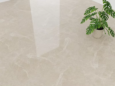 Beige Marble Texture Floor Tiles With Smooth Surface And Potted Green Plant 3d model
