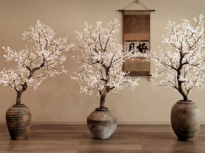 Indoor Bonsai Plum Blossom Trees in Clay Pots with Hanging Scroll and Beige Wall 3d model