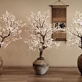 Indoor Bonsai Plum Blossom Trees in Clay Pots with Hanging Scroll and Beige Wall