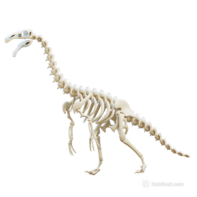Realistic Dinosaur Skeleton Decorative Ornament Animal Bone Model For Home 3d model 