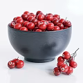 Fresh Red Berries in Black Bowl With Scattered and Branch Attached Berries on White Background