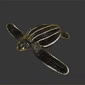 Black and White Striped Sea Turtle Reptile with Large Flippers on Gray Background