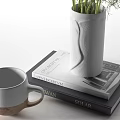 Minimalist Decorative Ornament Set With Ceramic Mug Stacked Books And Vase With Green Plants