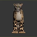Realistic Spotted Wild Cat with Brown And Black Patterned Fur Standing on Dark Reflective Surface