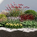 Colorful Garden Plants With Red Grasses Green Shrubs Red Yellow Purple Flowers And White Pebbles
