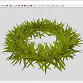 Fresh Green Grass Leaves Forming Circular Wreath With Natural Foliage And Lush Texture