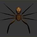 Detailed Brown Spider With Carved Texture Body And Long Legs Isolated On Dark Background