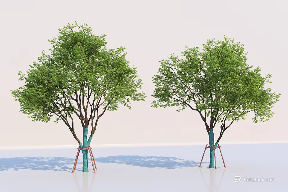 Two Arbor Trees With Blue Trunk Bands And Brown Supports On Light Background 3d model 