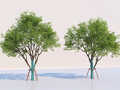 Two Arbor Trees With Blue Trunk Bands And Brown Supports On Light Background 3d model