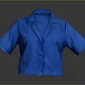 Classic Blue Short Sleeve Blazer With Collared Design And Button Front