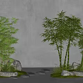 Lush Bamboo Plants With Rocks Green Grass Against Concrete Wall