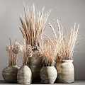 Decorative Potted Dried Plants in Rustic Ceramic Pots with Wheat Ears and Grass