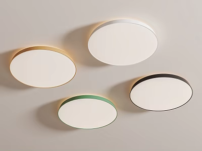 Round Ceiling Lights With Various Colored Borders 3d model