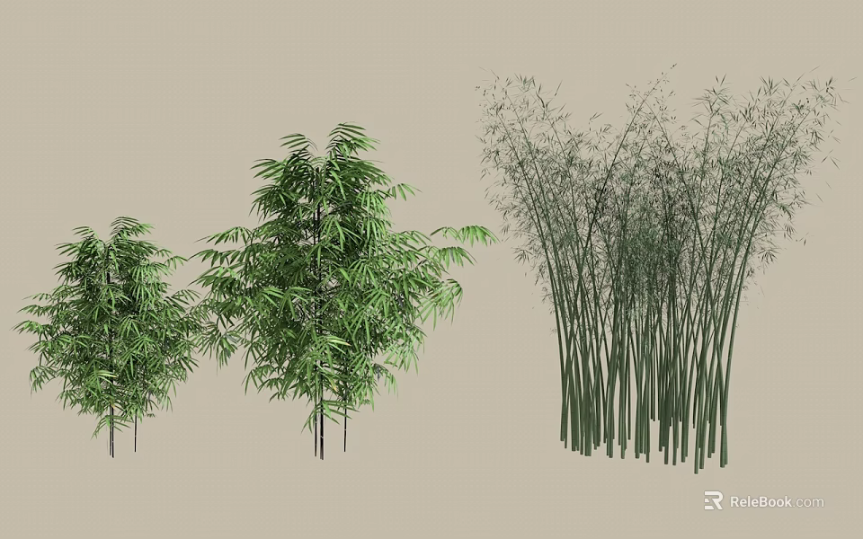 Different Types of Bamboo Plants with Various Heights and Leafy Green Foliage 3d model 
