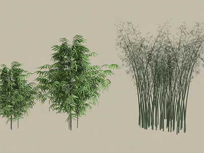 Different Types of Bamboo Plants with Various Heights and Leafy Green Foliage 3d model