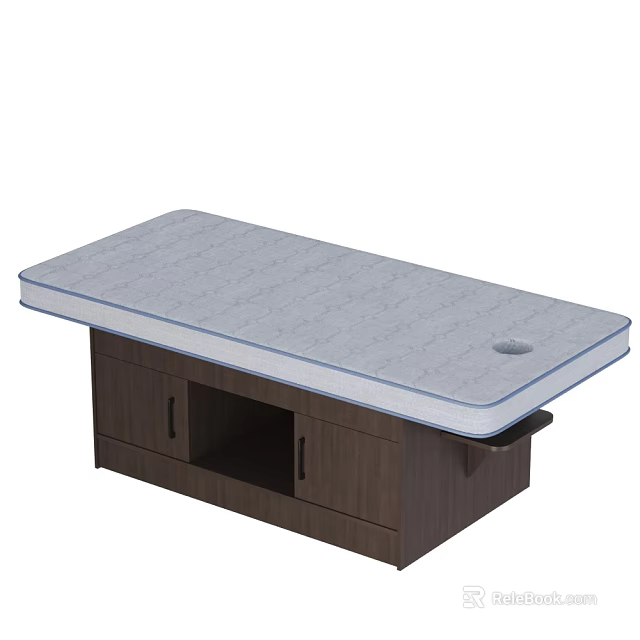 Gray Mattress Massage Bed With Blue Trim Dark Wood Storage Cabinet And Round Hole 3d model 