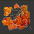 Vibrant Red and Orange Plant with Lush Branches and Blooms on Grey Background