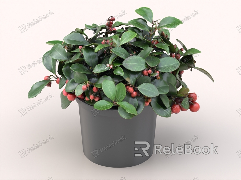 Red Bean Creeping Bilberry Bonsai model