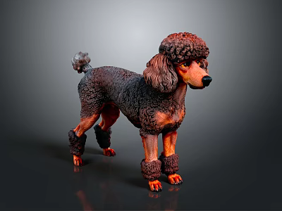 Detailed Brown Poodle Sculpture With Curly Fur And Standing Posture On Dark Background 3d model