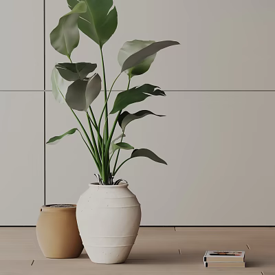 Indoor Decor Green Potted Plant with Large Leaves in White Ceramic Pot on Wooden Tabletop 3d model