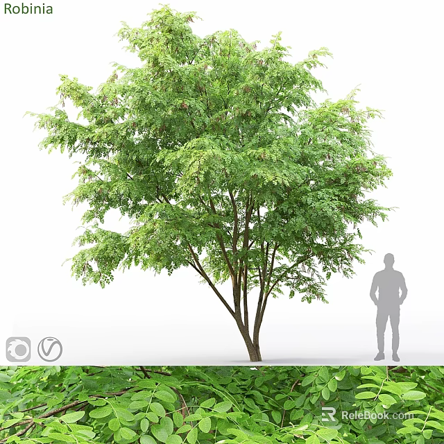 Ornament Decoration Set With Decorative Tree Green Foliage And Outdoor Silhouette 3d model 