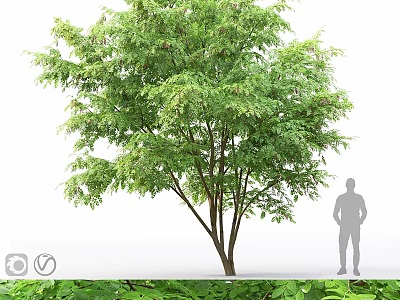 Ornament Decoration Set With Decorative Tree Green Foliage And Outdoor Silhouette 3d model