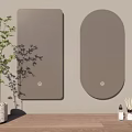 Modern Rectangular and Oval Mirrors on Wall Reflect Living Interior with Potted Plant and Bottles 3d model