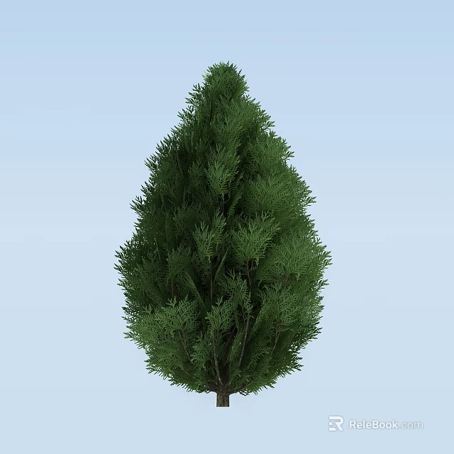 Evergreen Tree With Dense Green Foliage And Conical Shape Against Light Blue Sky 3d model