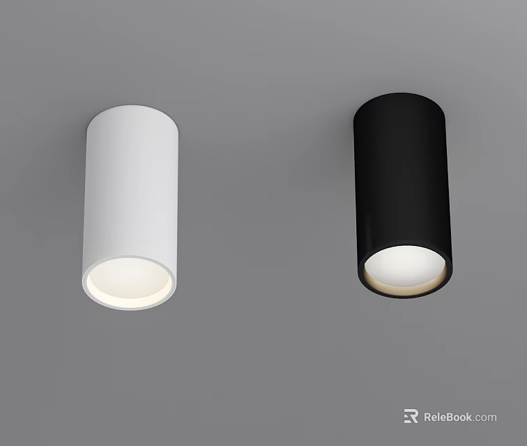 Modern White And Black Cylindrical Ceiling Mounted Downlights For Indoor Lighting Design 3d model 