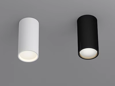 Modern White And Black Cylindrical Ceiling Mounted Downlights For Indoor Lighting Design 3d model