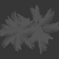 3D Rendered Palm Trees With Green Fronds And Brown Trunks Against Dark Background