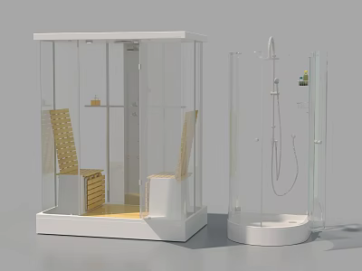 Modern Shower Sauna Glass Enclosed Design With Wooden Seats Showerhead And Handheld Shower Interior 3d model