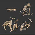 Ancient Fossilized Bone Fragments And Skeletal Structures On White 3d model