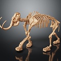 Modern skeleton elephant skeleton bone 3d model