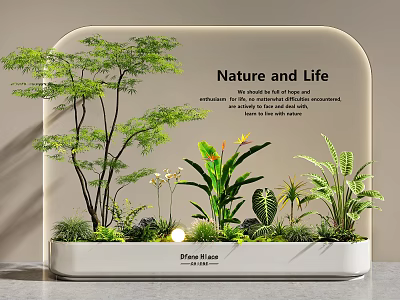 Indoor Landscape With Various Green Plants Flowers Small Light And Nature Life Theme 3d model