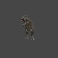 Realistic Standing Tyrannosaurus Rex Dinosaur Model With Open Mouth Dark Background