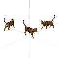 Three Adorable Tiger Striped Cats Walking Together On White Background