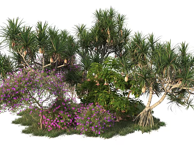Trees With Clustered Trunks Green Leaves And Purple Flowers In Natural Garden 3d model