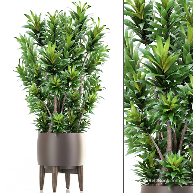 Lush Green Bonsai Potted Plant With Dark Brown Pot And Upright Stems 3d model 