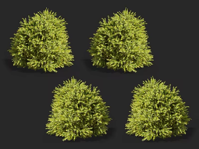 Four Lush Green Bushes With Rounded Shapes For Garden Landscaping 3d model
