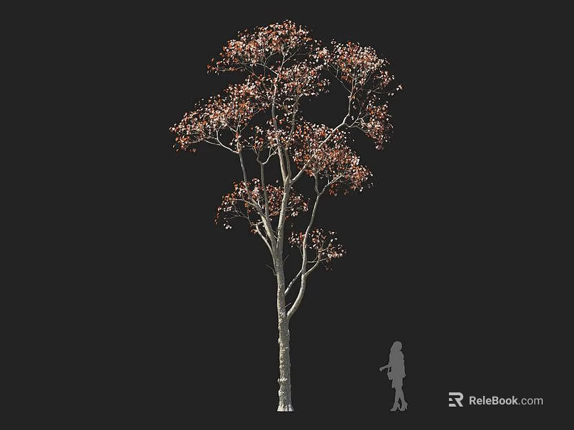 Tall Arbor With Brown Leaves And Slender Trunk Against Black Background With Human Silhouette 3d model 