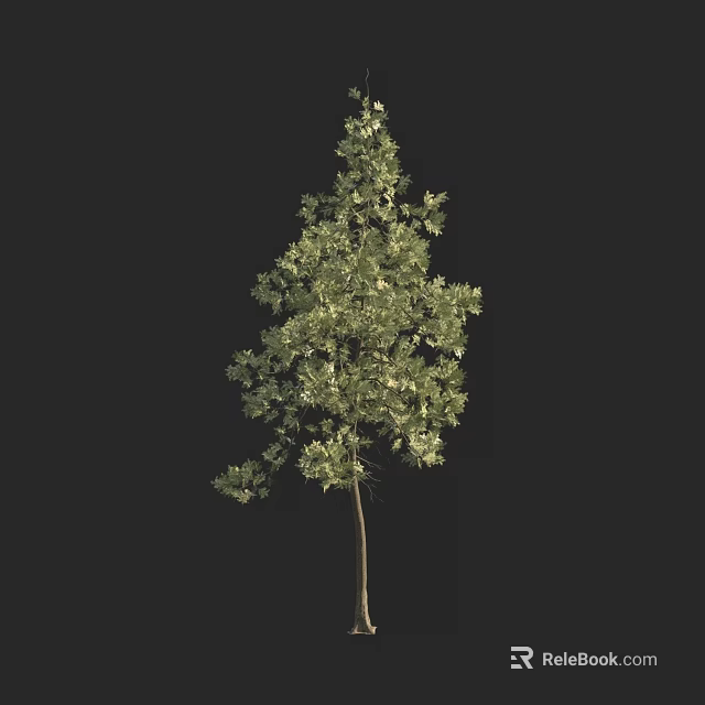 Lush Green Arbor Tree With Dense Foliage And Straight Trunk Structure 3d model 