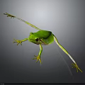 Vibrant Green Frog With Yellow Feet On Gray Background Displaying Realistic Lifelike Features